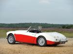 Austin-Healey 100-6 1956 года (UK)